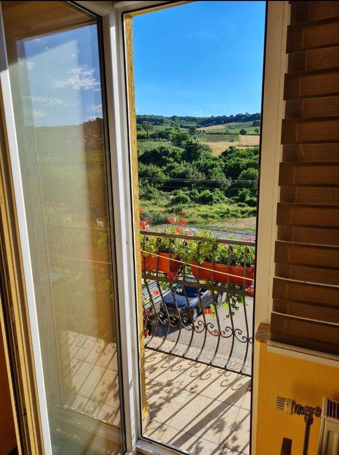 Vila Belilo Sremski Karlovci Extérieur photo