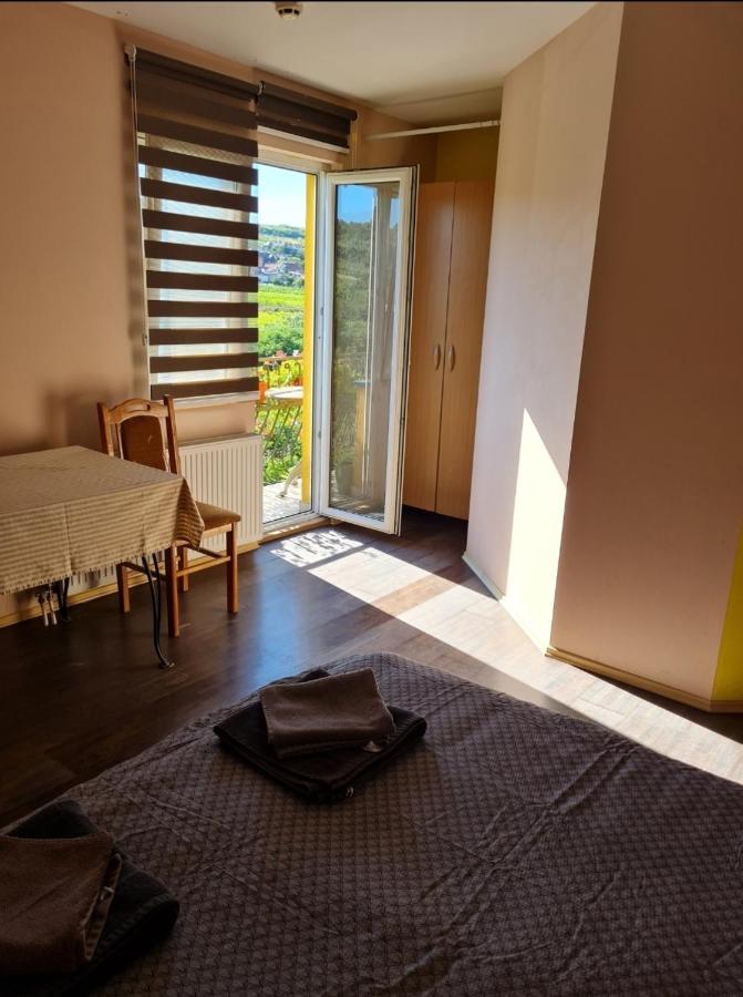 Vila Belilo Sremski Karlovci Extérieur photo