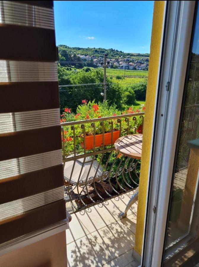 Vila Belilo Sremski Karlovci Extérieur photo