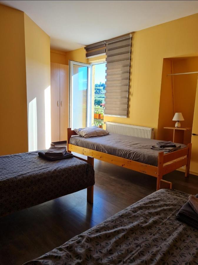 Vila Belilo Sremski Karlovci Extérieur photo